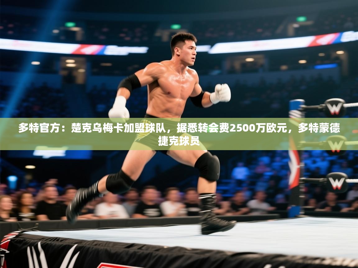 海星体育 谢宇宁-多特官方:楚克乌梅卡加盟球队,据悉转会费2500万欧元,多特蒙德捷克球员 第3张