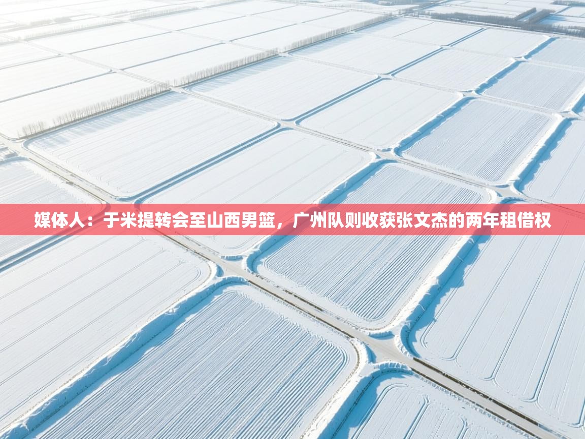 海星体育官网-媒体人:于米提转会至山西男篮,广州队则收获张文杰的两年租借权 第4张