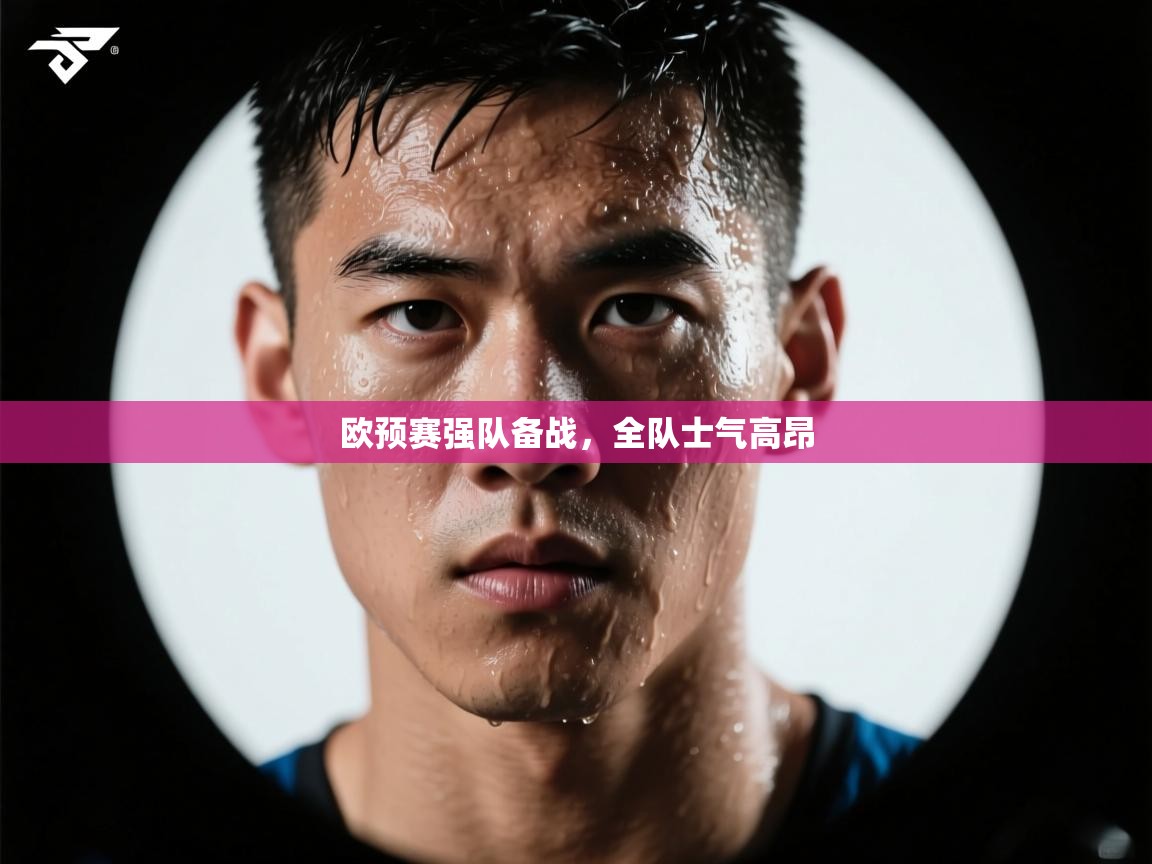 海星体育在线直播-欧预赛强队备战,全队士气高昂 第4张