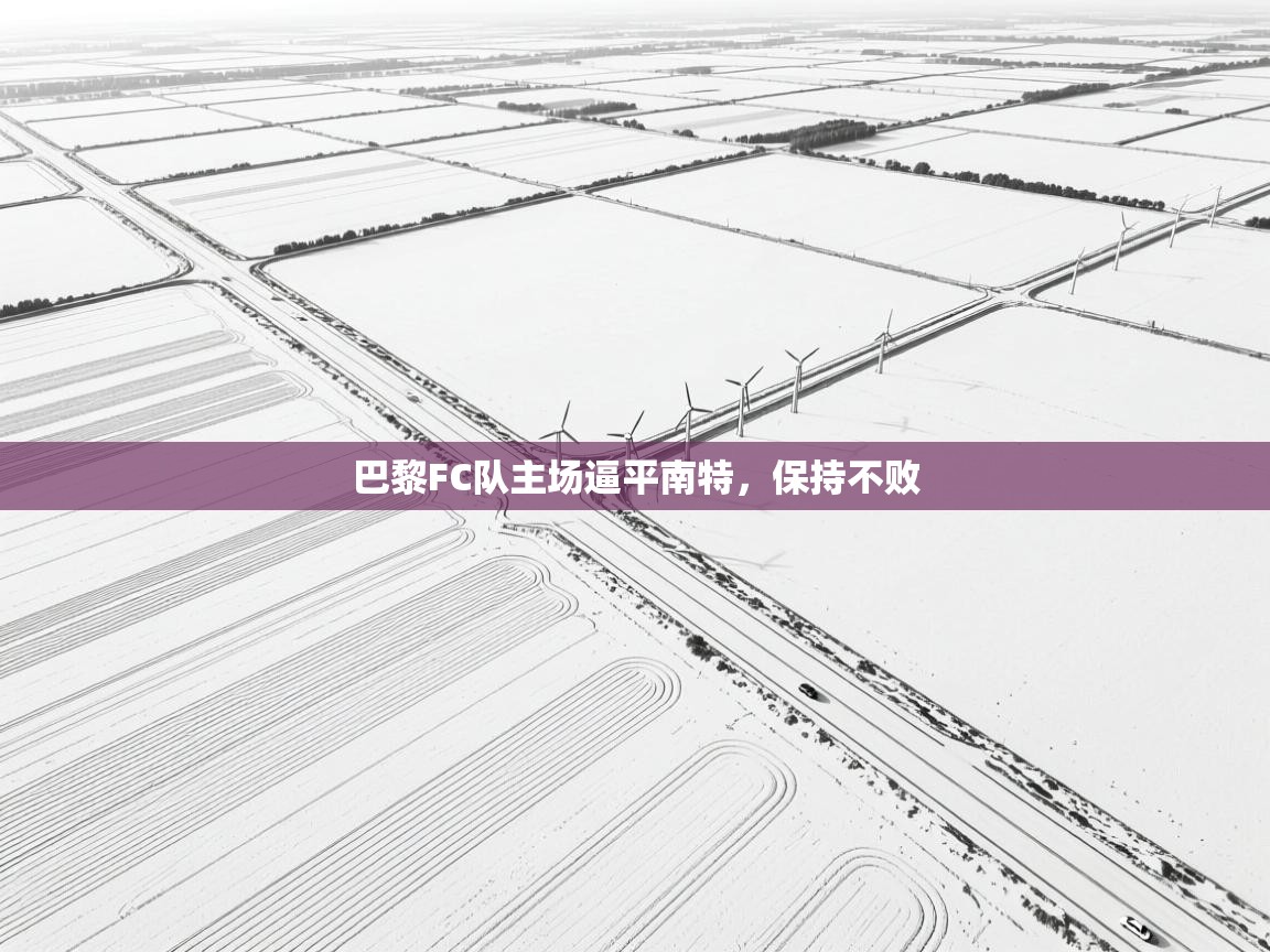 海星体育下载-巴黎FC队主场逼平南特，保持不败  第1张