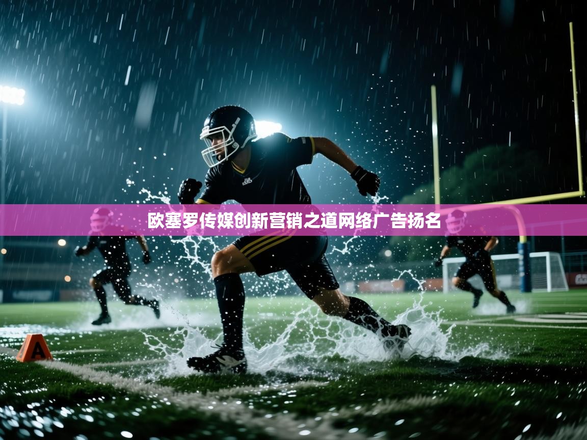 海星体育官方入口-欧塞罗传媒创新营销之道网络广告扬名 第2张