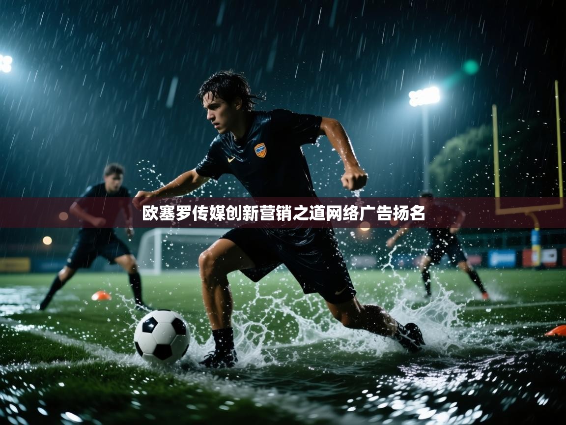 海星体育官方入口-欧塞罗传媒创新营销之道网络广告扬名 第4张