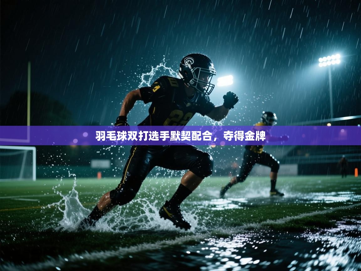 海星体育官网-羽毛球双打选手默契配合,夺得金牌 第3张